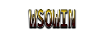 Logo WSOWIN
